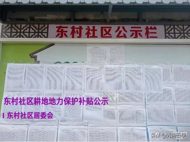 振兴乡村项目可行性研究报告,美丽乡村建设项目可行性研究报告