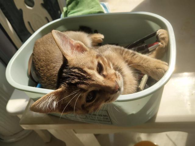 生孩子不痛的人的特征,孕妇做内检疼的大叫