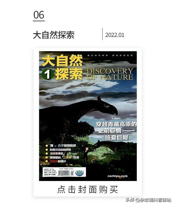 小学生杂志订阅榜前十名,小学生最值得订阅的十大杂志