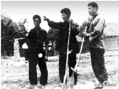 家庭联产承包责任制是哪一年,家庭联产承包责任制是哪一年开始的