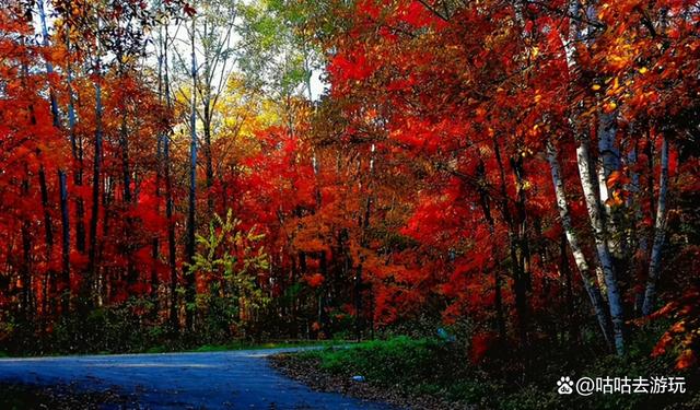中国夏天不热的城市,中国夏天不热的城市排行