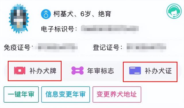 021年办狗证要多少钱_办狗证的流程,现在办狗证需要多少钱"