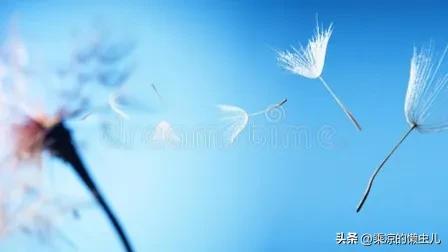 人禽交互a,人和禽类