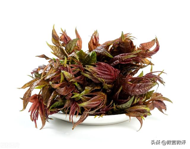 香椿木为什么叫降龙木,香椿木手串