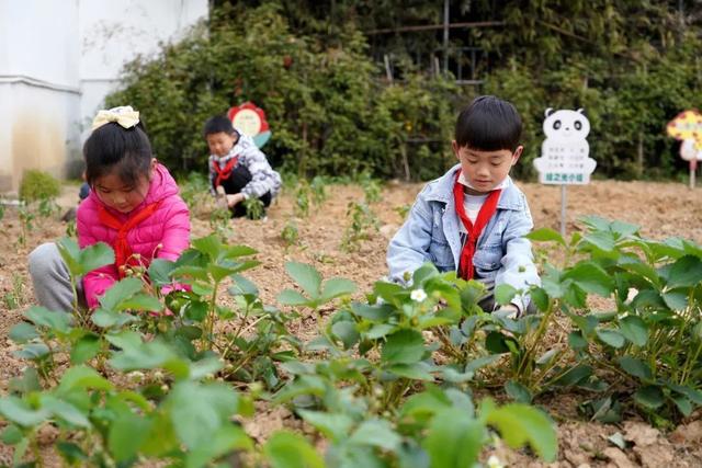 劳动教育黑板报图片,劳动教育宣传栏图片