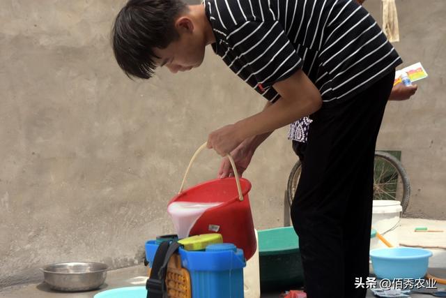 甲维茚虫威能打什么虫安全期,甲维茚虫威注意事项