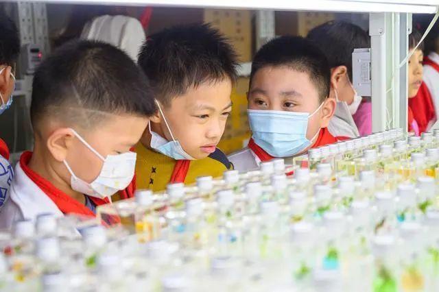 劳动教育黑板报图片,劳动教育宣传栏图片