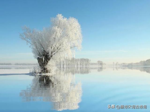 采薇节选及翻译六年级下册,采薇节选翻译六年级下册拼音