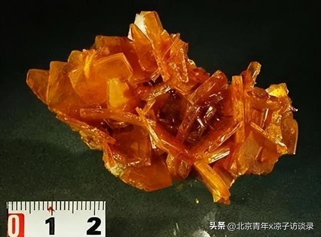 “11岁那年，我被男同学拖进了卫生间死角……”