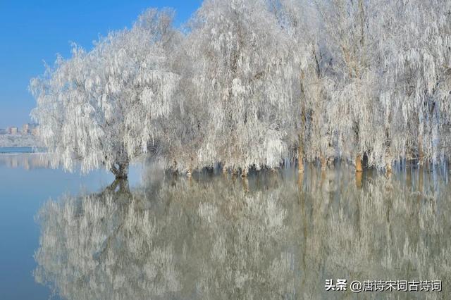 采薇节选及翻译六年级下册,采薇节选翻译六年级下册拼音