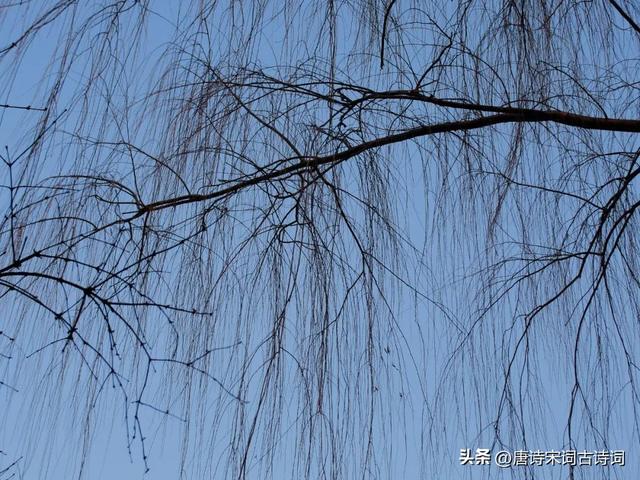 采薇节选及翻译六年级下册,采薇节选翻译六年级下册拼音