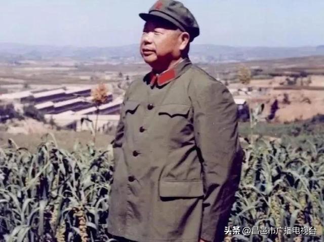 王东兴,王东兴个人资料简介