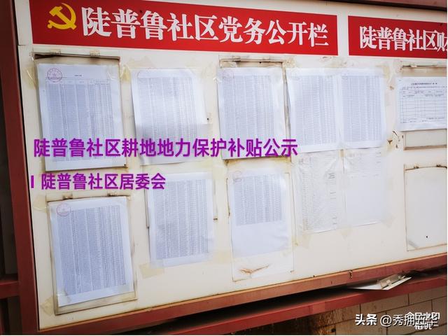 振兴乡村项目可行性研究报告,美丽乡村建设项目可行性研究报告