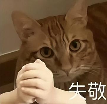 哪个软件听歌最全免费手机,哪个软件听歌最全免费手机版本