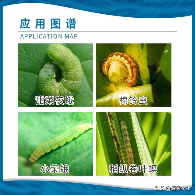 甲维·茚虫威对人的危害安全期,甲维带虫威打什么虫