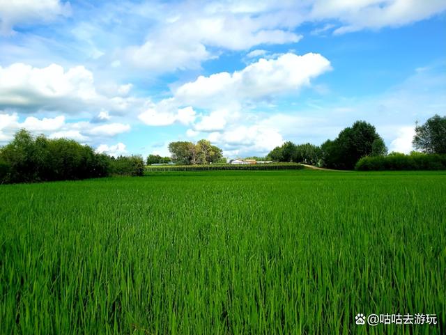 中国夏天不热的城市,中国夏天不热的城市排行