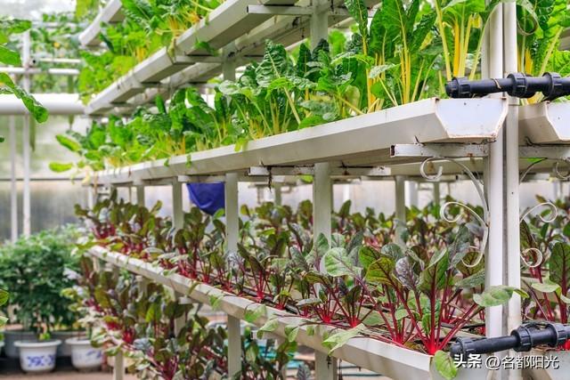 家庭联产承包责任制是哪一年,家庭联产承包责任制是哪一年开始的