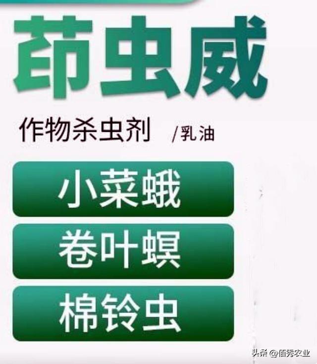 甲维·茚虫威对人的危害安全期,甲维带虫威打什么虫