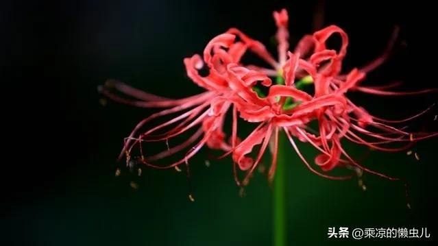 人禽交互a,人和禽类