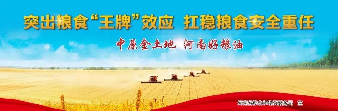 花生米价格最新行情后期走势,花生信息网花生最新价格行情