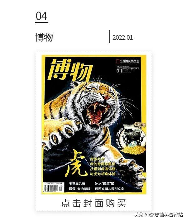 小学生杂志订阅榜前十名,小学生最值得订阅的十大杂志