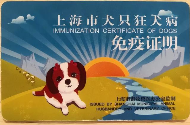 021年办狗证要多少钱_办狗证的流程,现在办狗证需要多少钱"
