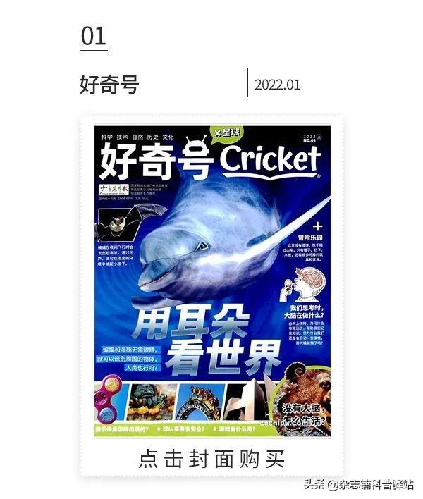 小学生杂志订阅榜前十名,小学生最值得订阅的十大杂志