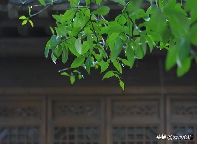 小哥两快乐成长的句子,对两个儿子手足的寄语