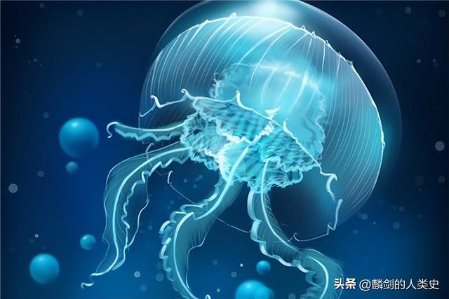 生物分类三域六界系统,生物的分类方法有三种