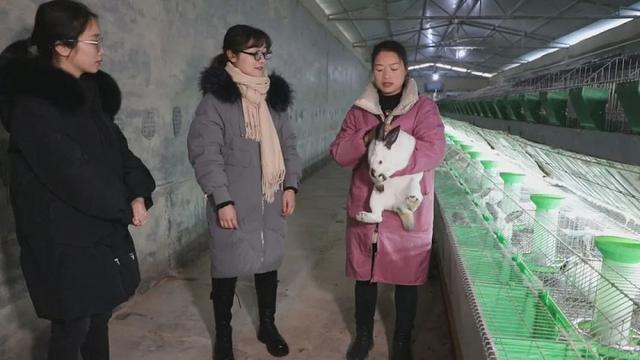 种兔基地,种兔场一览表