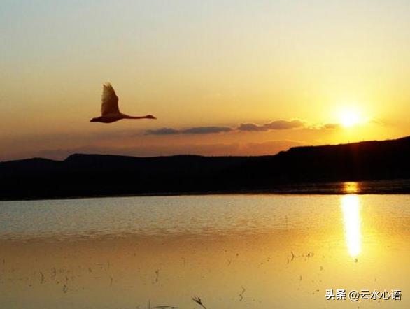 小哥两快乐成长的句子,对两个儿子手足的寄语