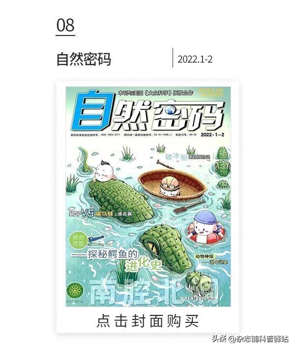 小学生杂志订阅榜前十名,小学生最值得订阅的十大杂志