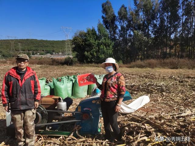 振兴乡村项目可行性研究报告,美丽乡村建设项目可行性研究报告