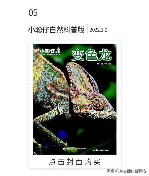 小学生杂志订阅榜前十名,小学生最值得订阅的十大杂志