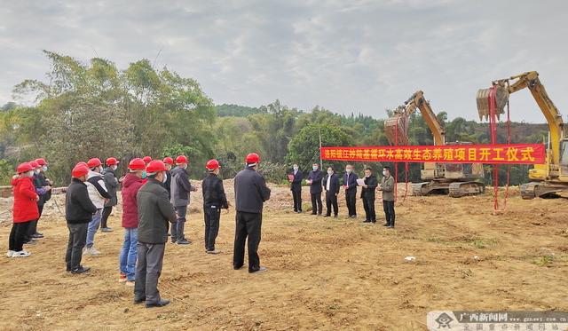 农村创业的好项目,散养鸡2000只一年利润多少