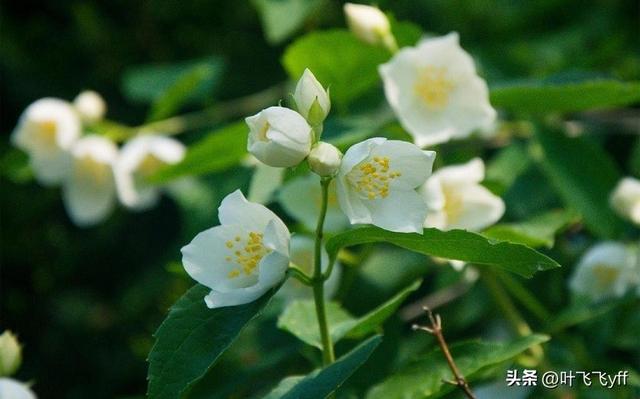 怎样判断朋友圈只发给你看,男生不联系你但故意发朋友圈