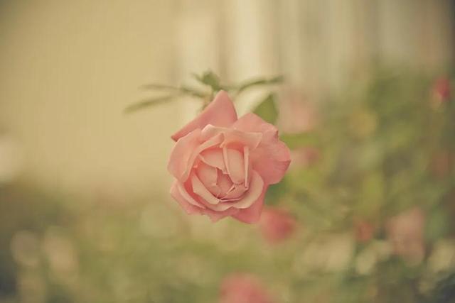 北京天上人间四大花魁之首是谁啊图片,北京天上人间四大花魁之首是谁呀