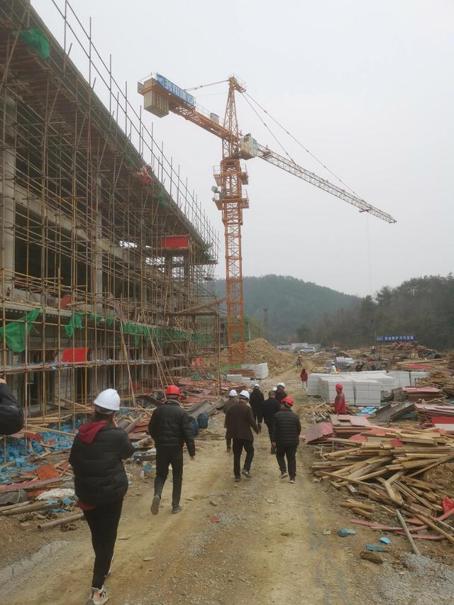 春天的故事创作背景简短一点，春天的故事创作的背景