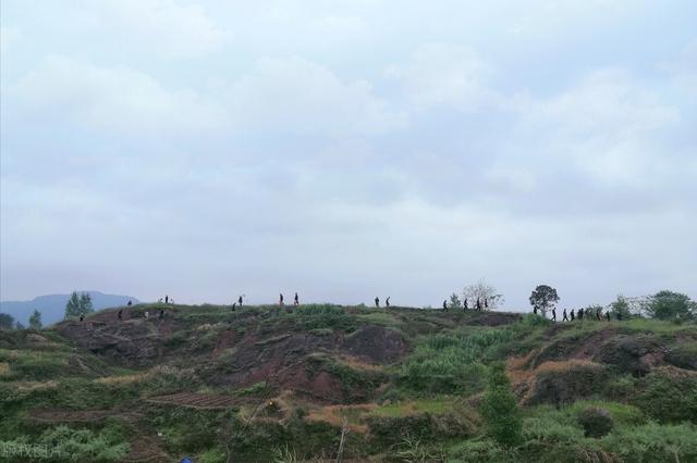 上坟必备三种水果，上坟必备三种水果可以拿走吃了吗