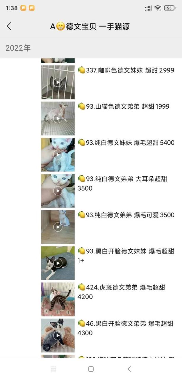 欧猫电动车，欧猫电动车价格及图片