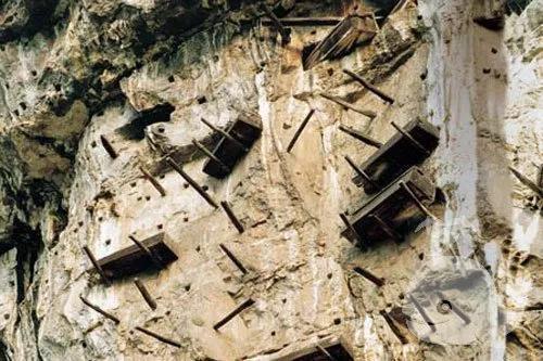 红蝶图片高清,红蝶图片高清全身仙鹤