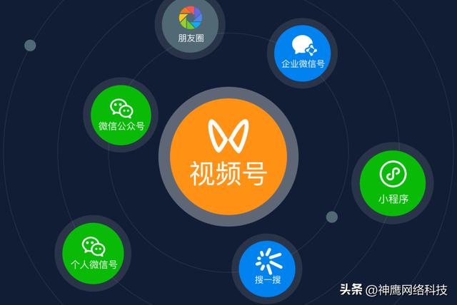 做电商怎么做,天猫店购买交易平台