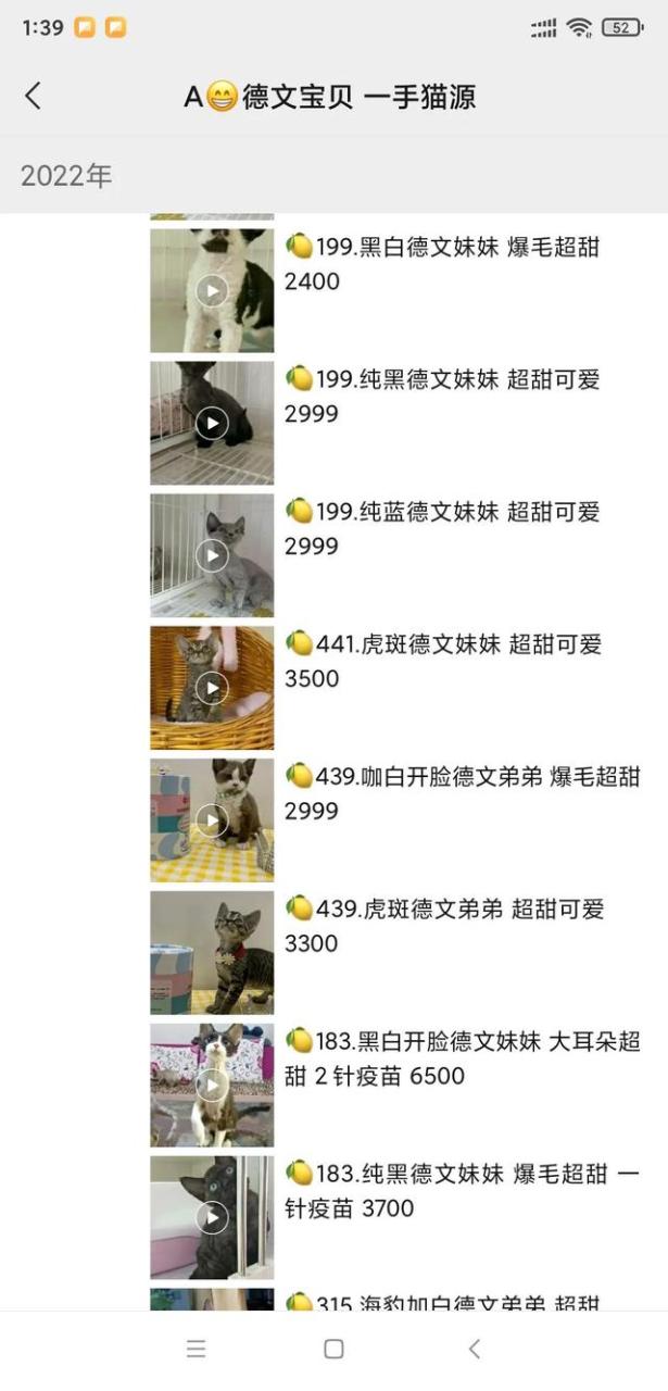 欧猫电动车，欧猫电动车价格及图片