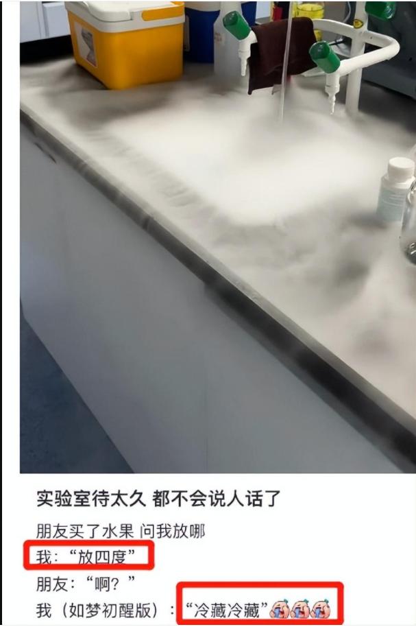 笑不活了表情包,好笑的表情包