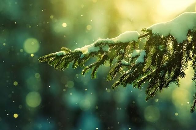 儿女福报由母亲决定,父母归天时间就是后代的命运