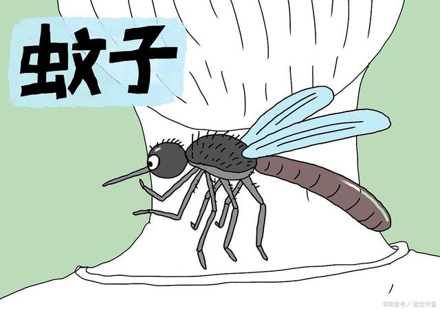 夏天穿什么颜色衣服容易被蚊子咬a黑色b白色c黄色，夏天穿什么颜色衣服最容易被蚊子咬