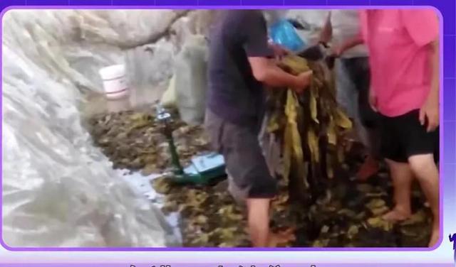 2315是干啥呢，12315是什么含义"