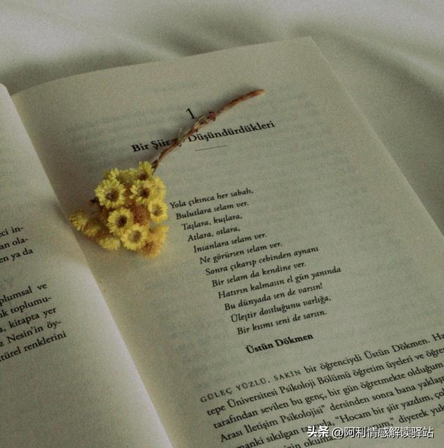 亲密又不肉麻的称呼男朋友英文，亲密又不肉麻的称呼男朋友医生