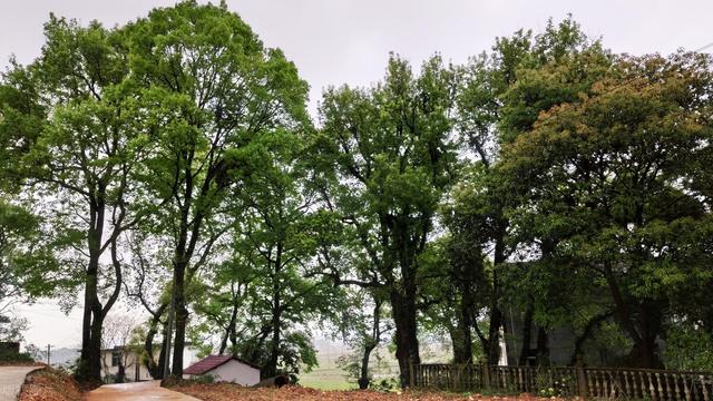 镜子对着床有什么忌讳，镜子对着床有什么忌讳怎么化解