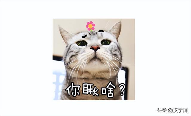 有拈头什么意思怎么读，有拈头的拼音